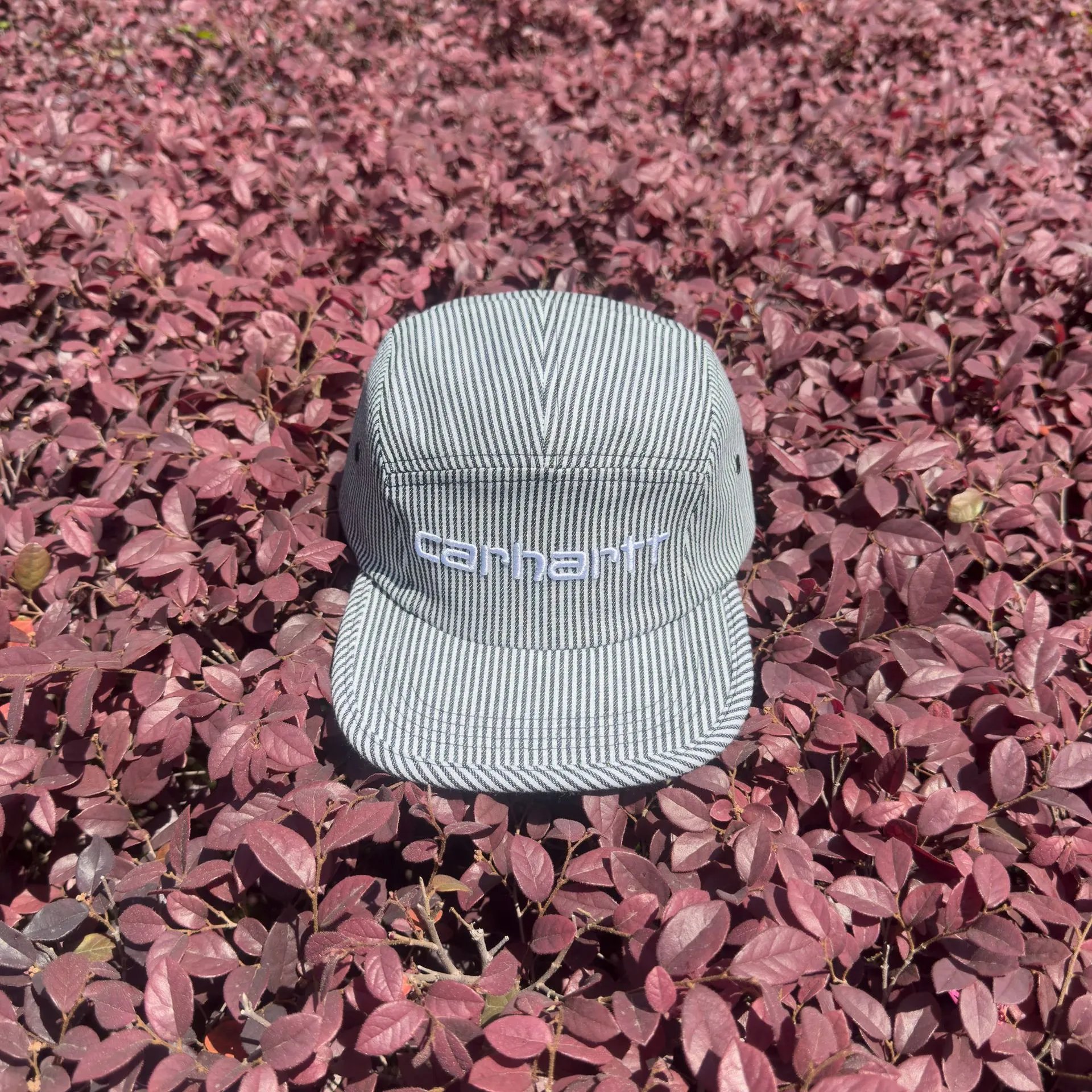 Carhartt Hats Striped 5-Panel Cap — 1685006MX