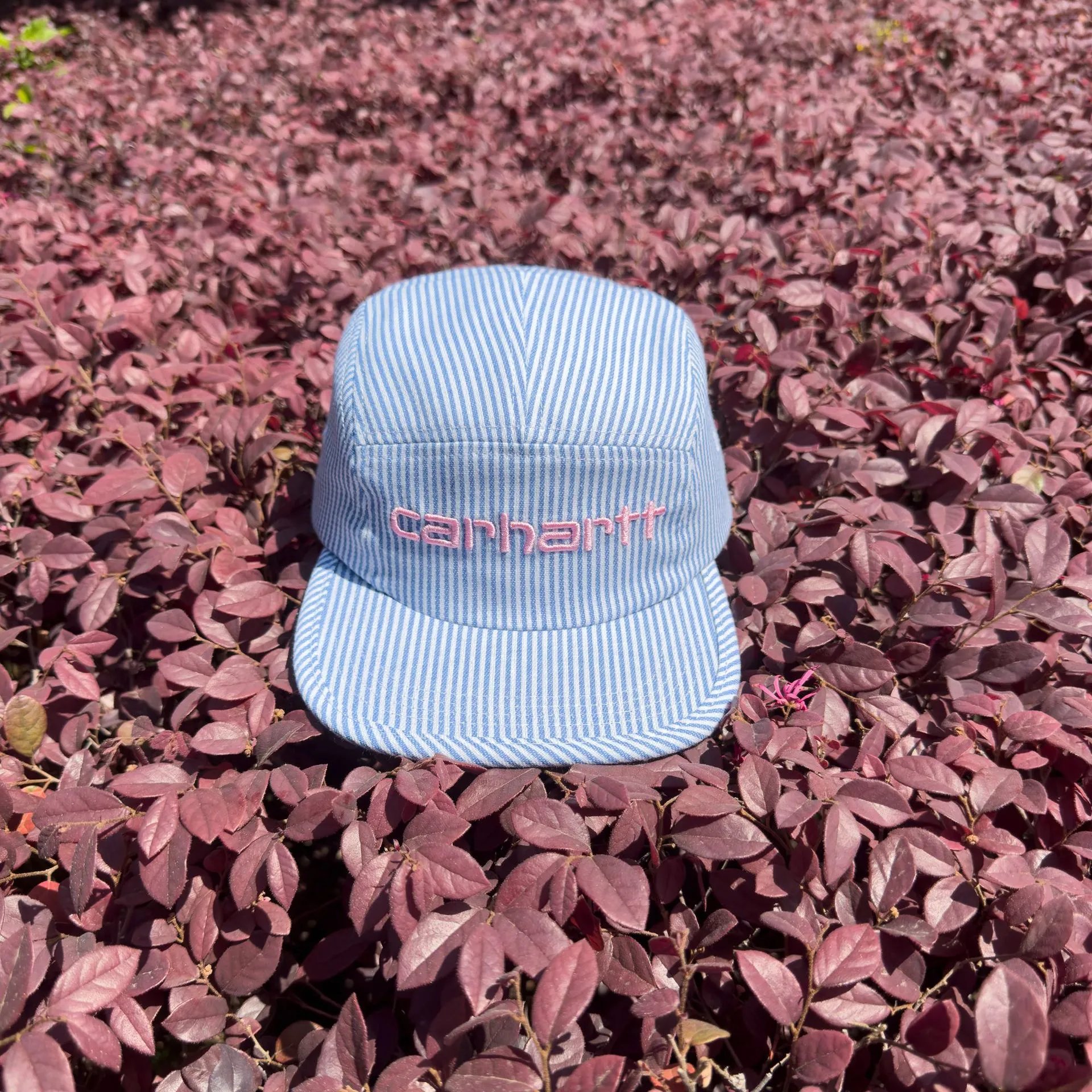 Carhartt Hats Striped 5-Panel Cap — 1685003MX