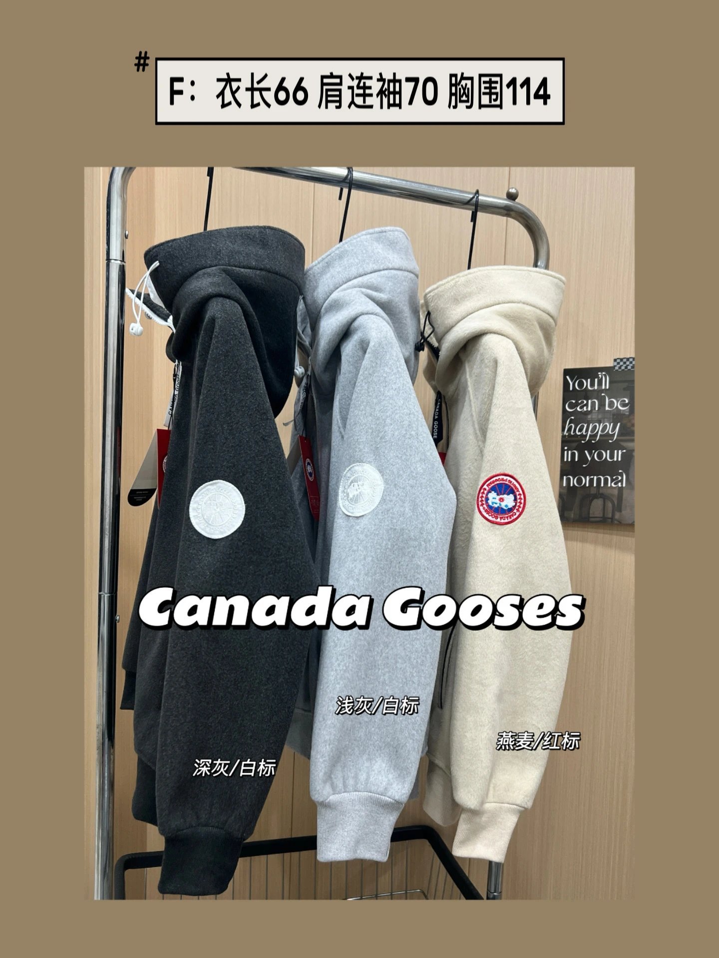 Canada Goose Fleece Hoodie Beige Hoodie - 2