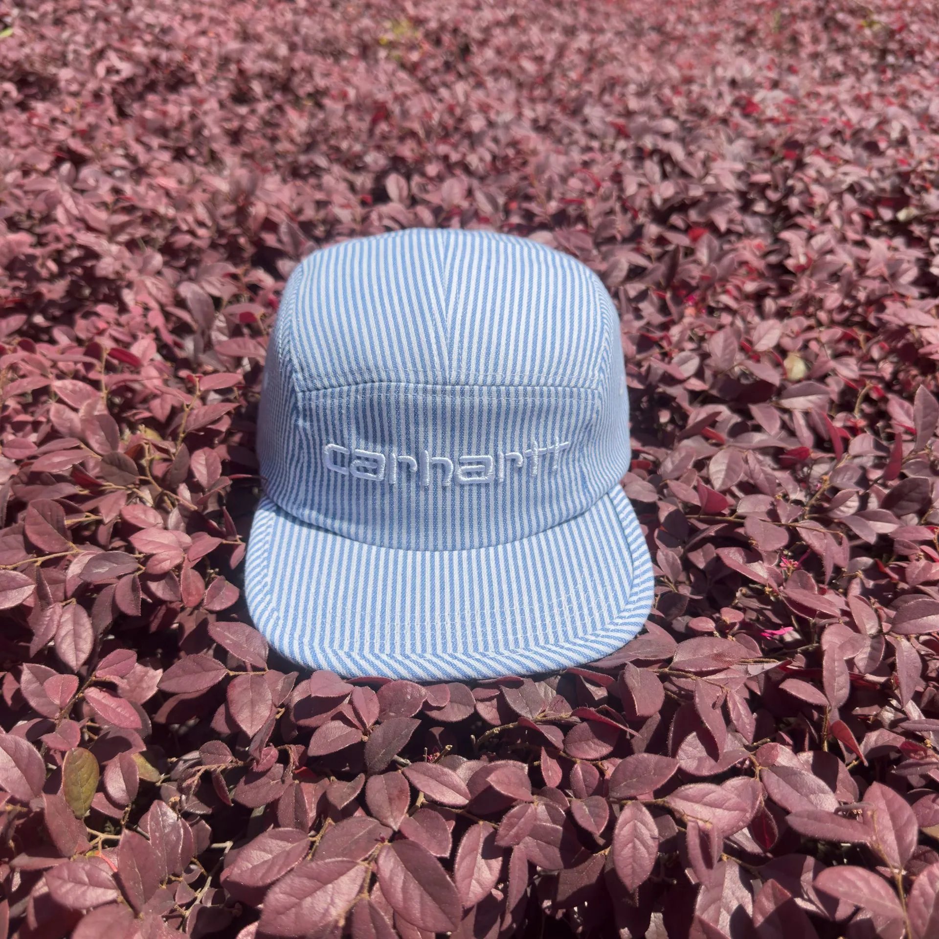 Carhartt Hats Striped 5-Panel Cap — 1685005MX