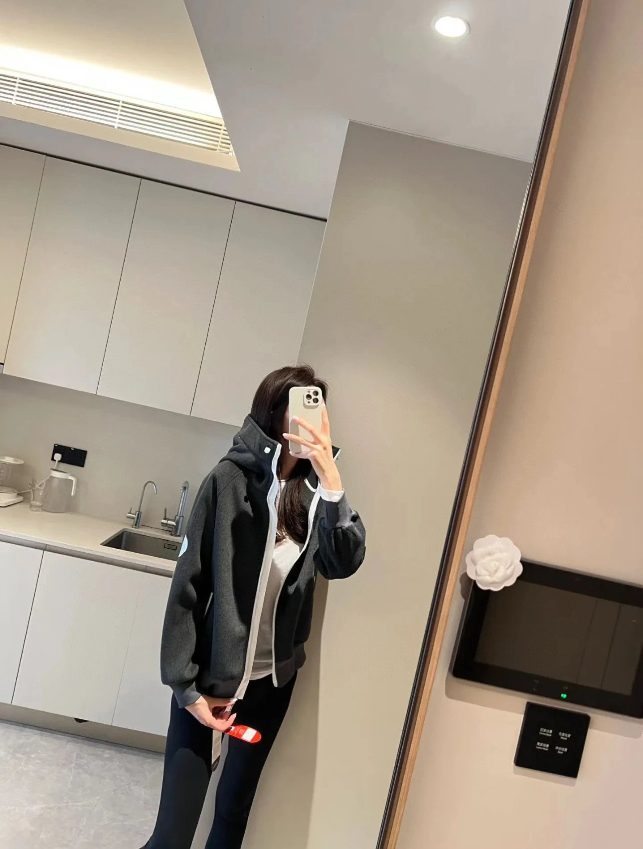 Canada Goose Fleece Hoodie Beige Hoodie - 32