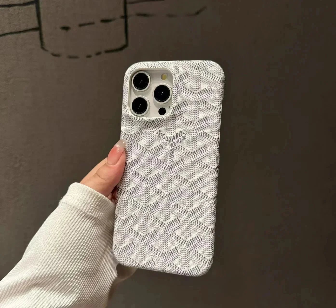 Goyard White Case