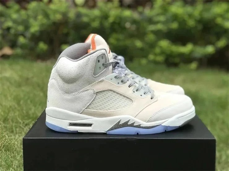 Air Jordan 5 Grey Sn