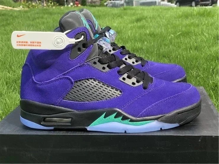 Nike Air Jordan 5 Pu