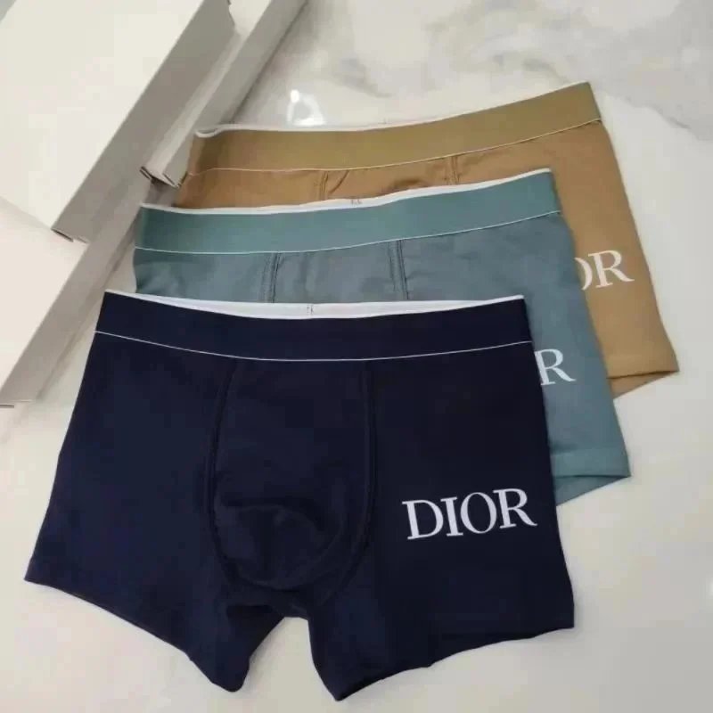 Dior Navy Underwear