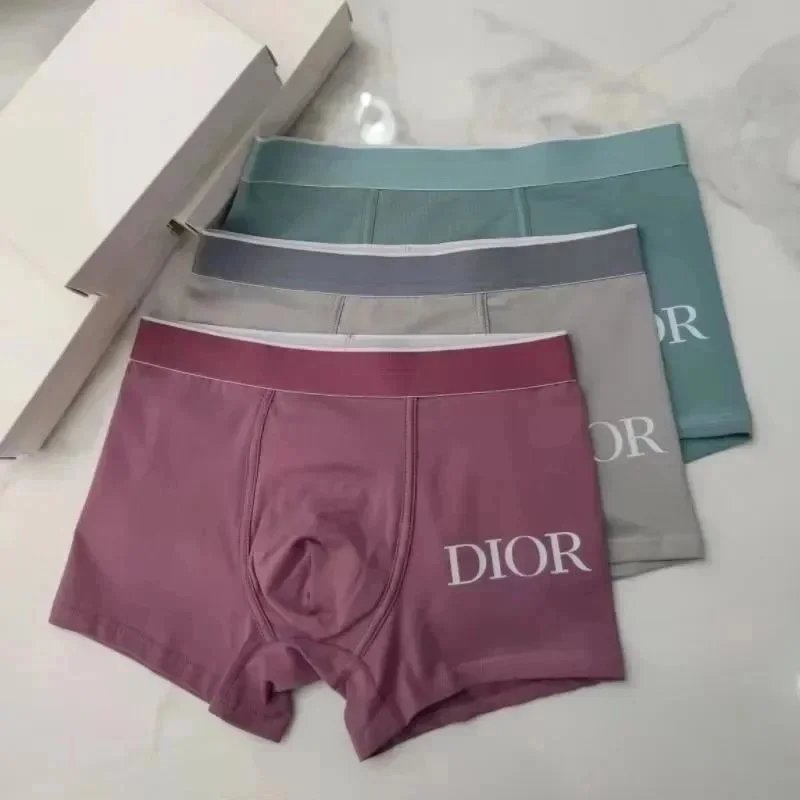 Dior Purple Underwea