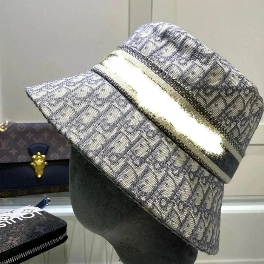 Dior Grey Hat