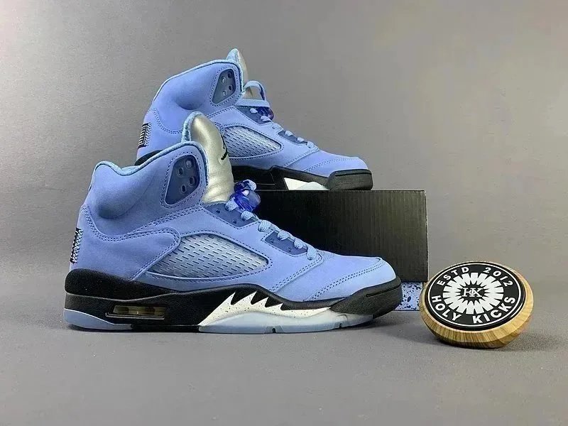Air Jordan 5 Light B