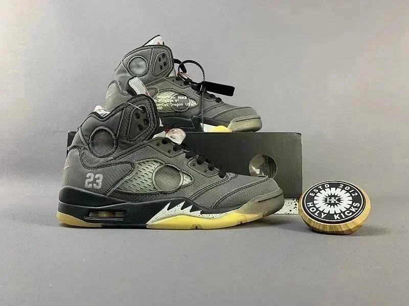 Air Jordan 5 Grey Sn