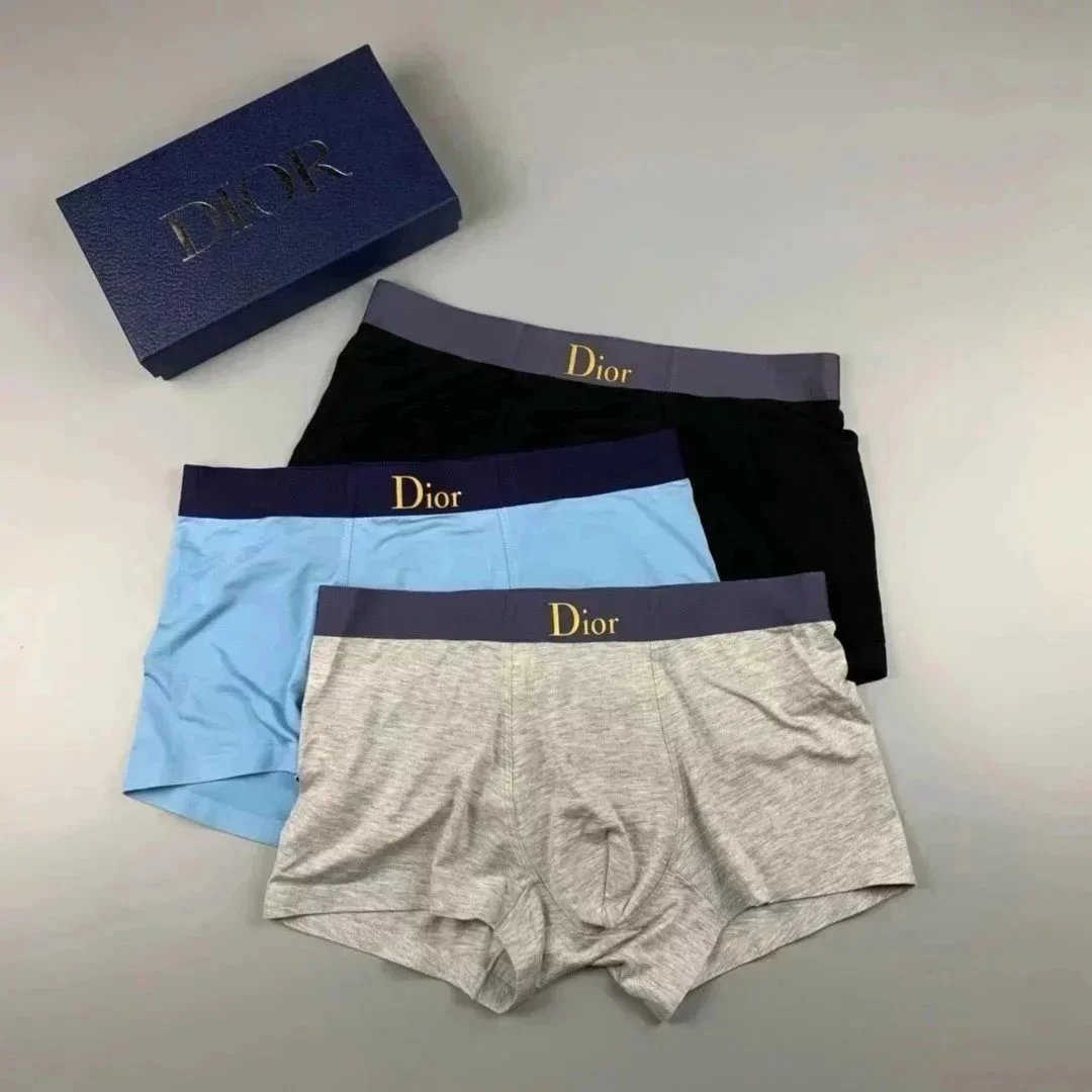 Dior Grey Underwear