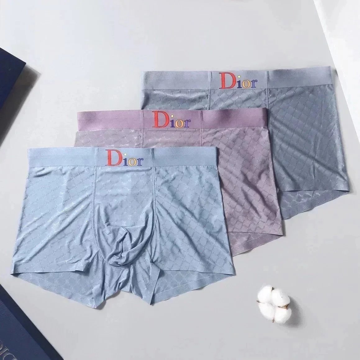 Dior Blue Underwear
