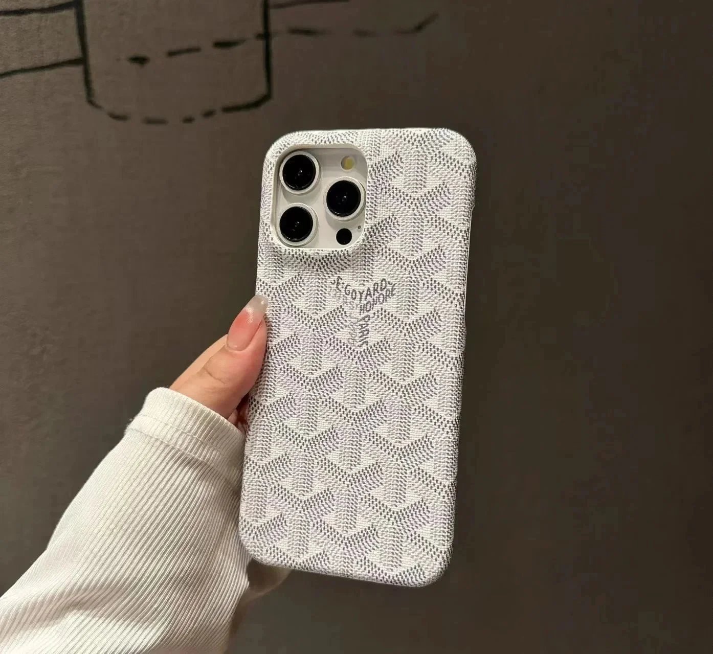 Goyard White Case