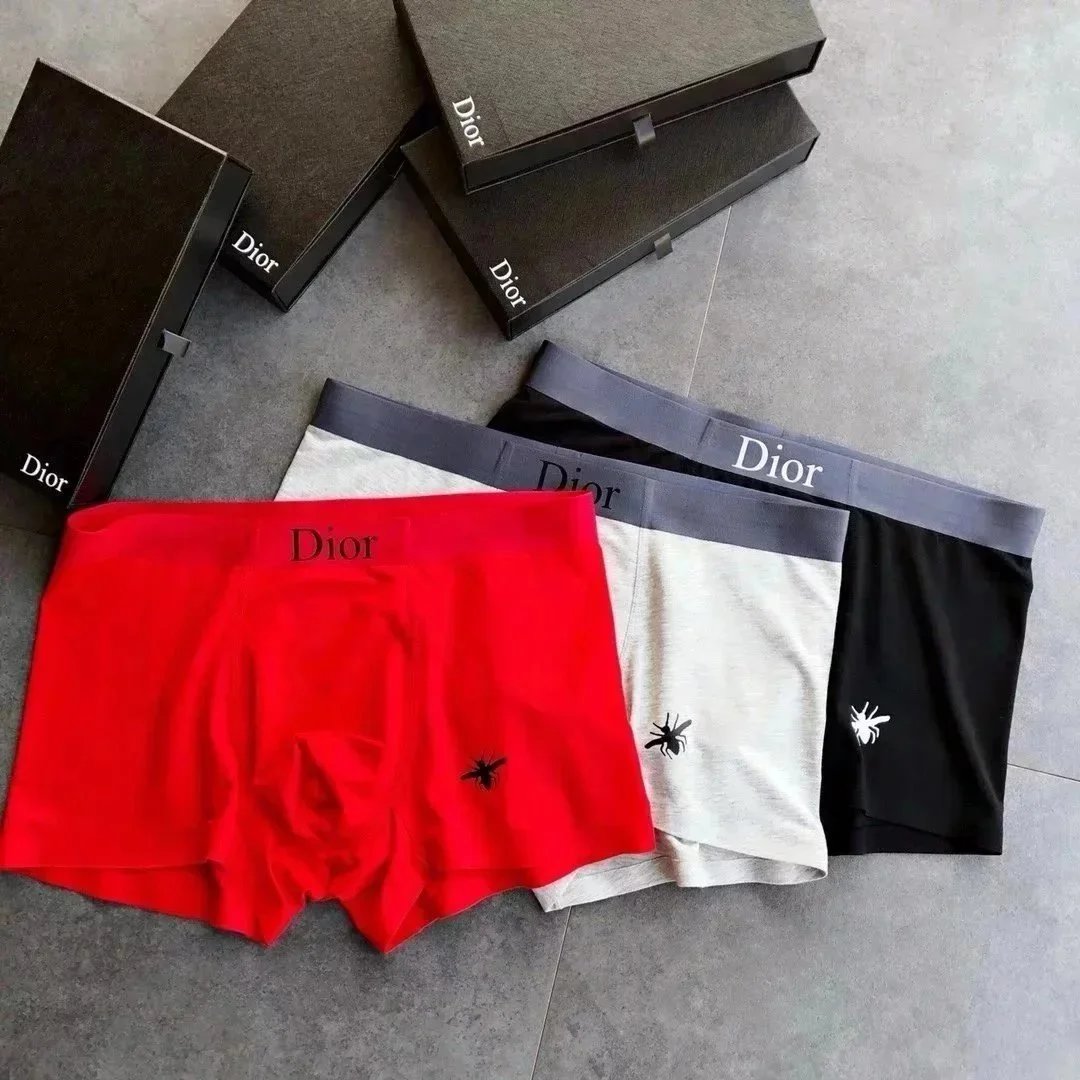 Dior Red Underwear S