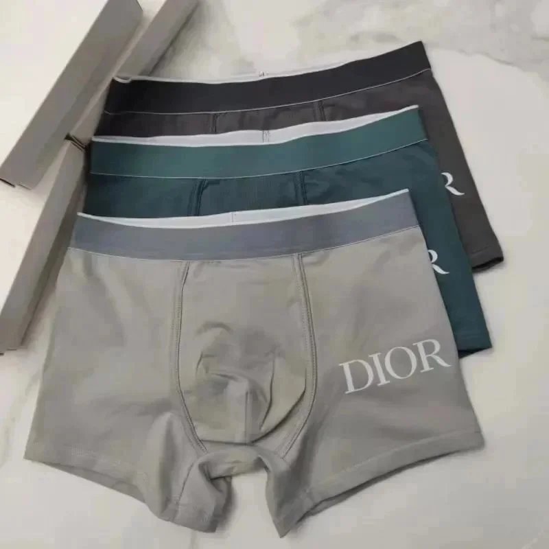 Dior Grey Underwear