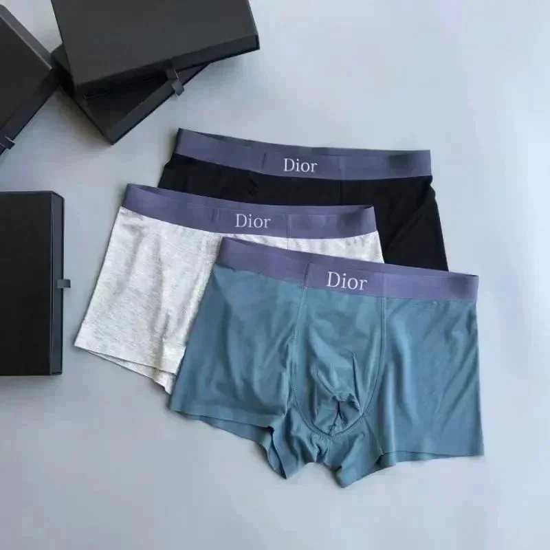 Dior Blue Underwear