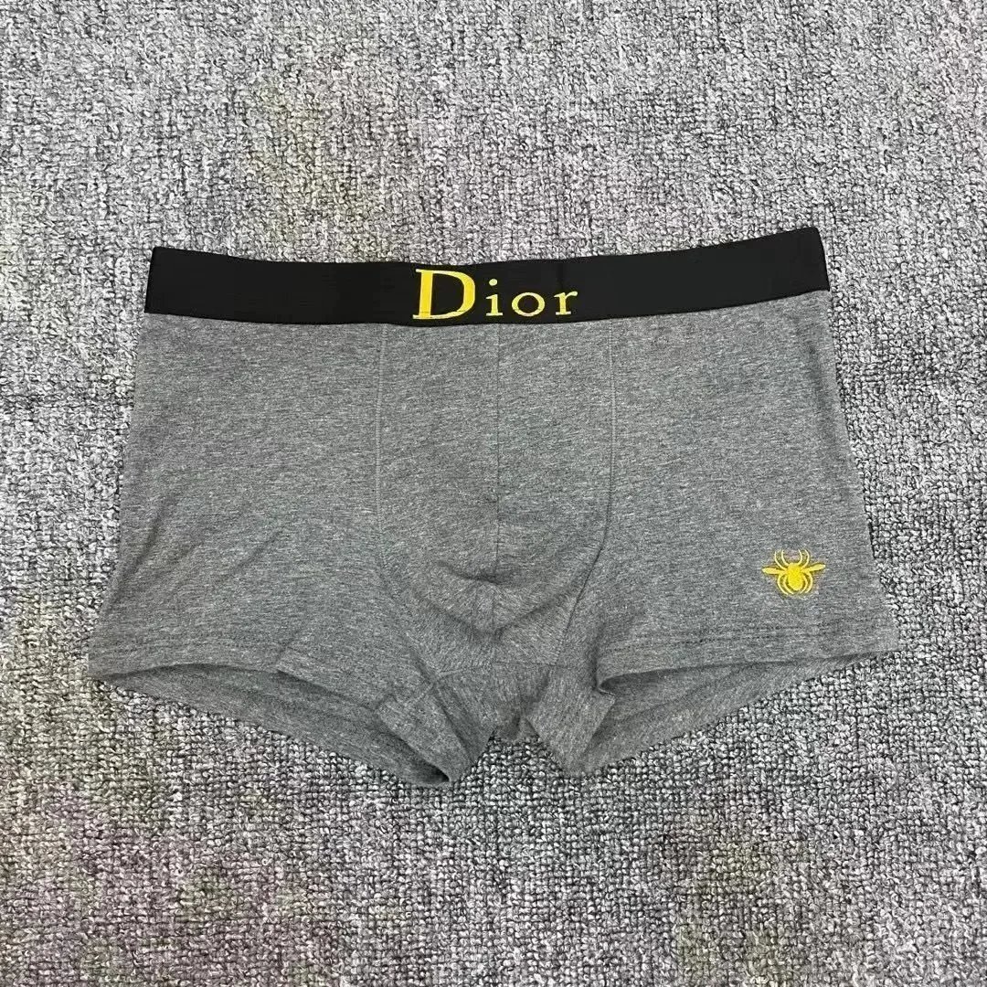 Dior Grey Underwear