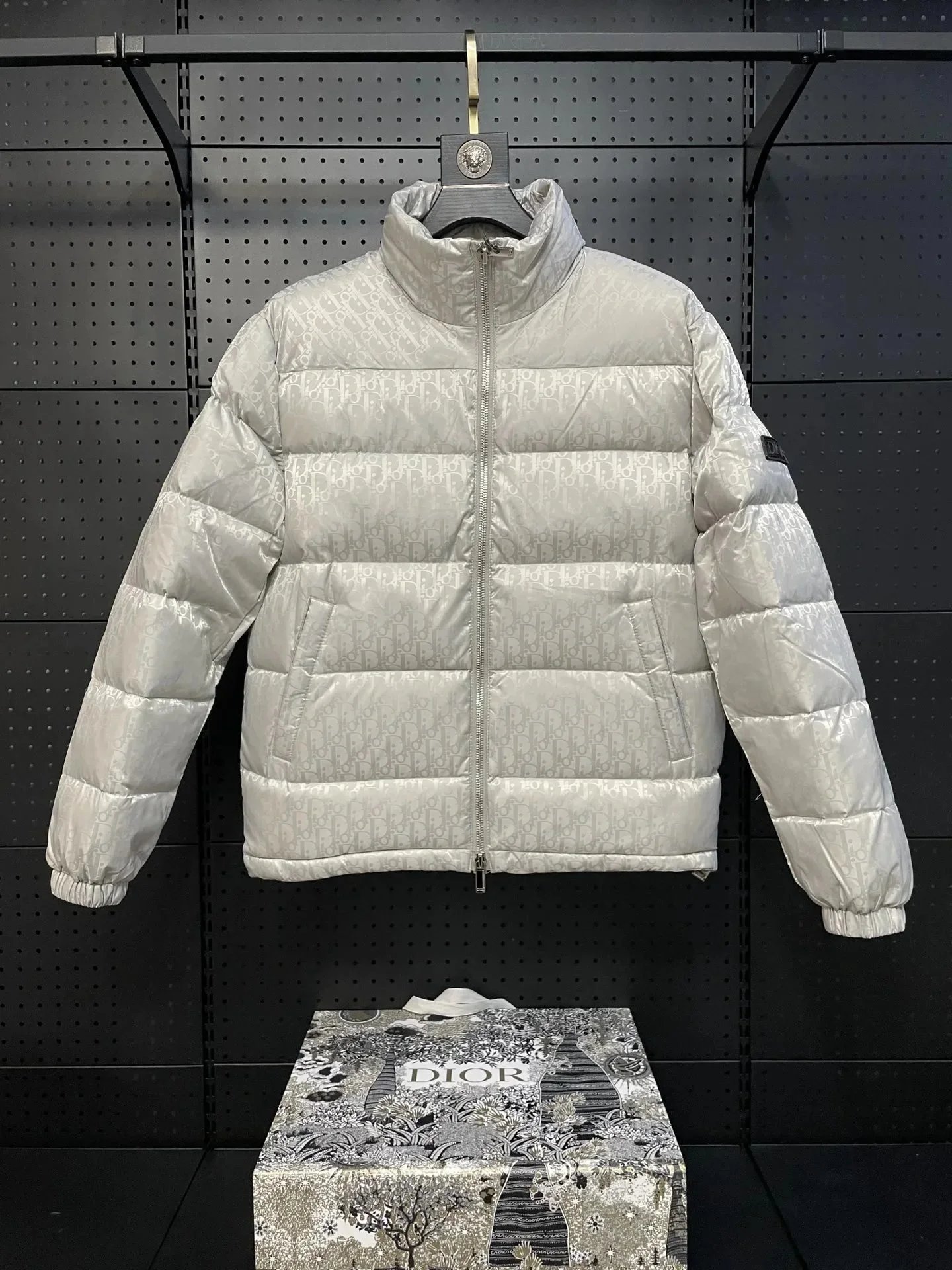 Dior Monogram Silver