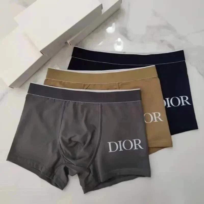 Dior Grey Underwear