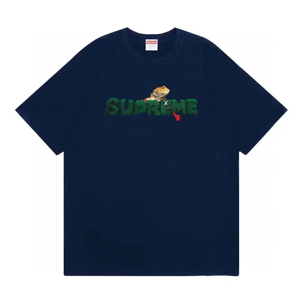 Product view 24