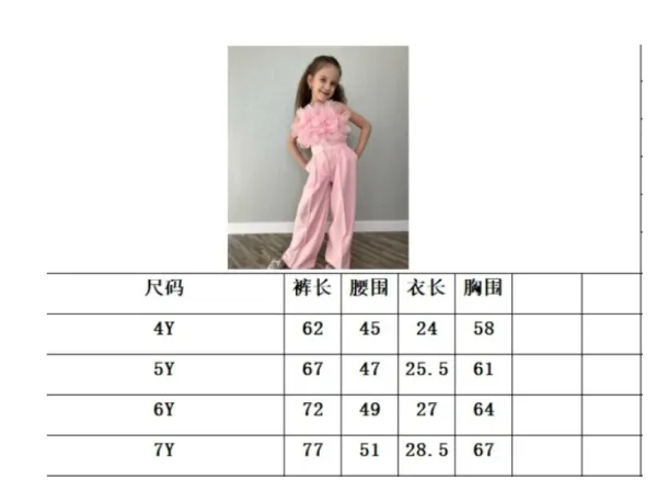 Design Tulle Top and Pleated Wide-Leg Pants Set in Sky Blue - 11