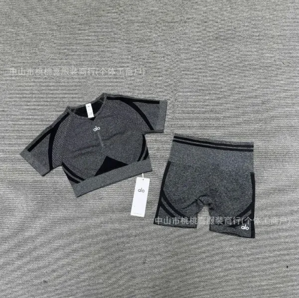 Alo Yoga Performance Crop Top and Biker Shorts Set Gray Activewear - 12
