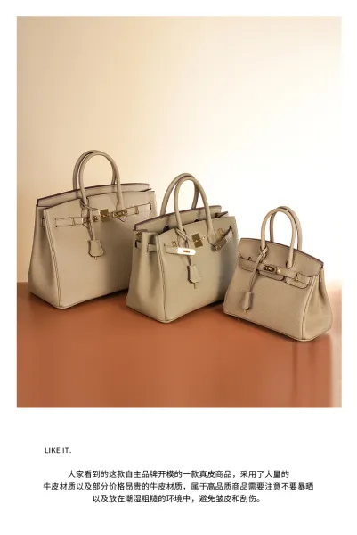 Hermès Birkin Bag Gris Perle Togo Leather Handbag - 5