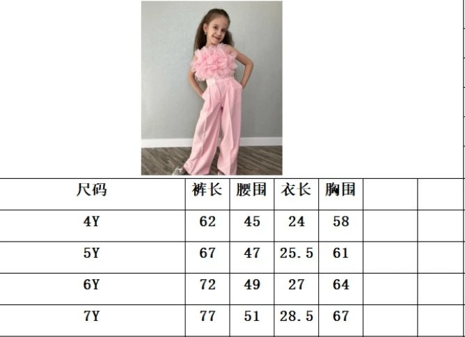 Design Tulle Top and Pleated Wide-Leg Pants Set in Sky Blue - 10