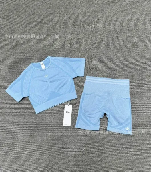 Alo Yoga Performance Crop Top and Biker Shorts Set Gray Activewear - 16