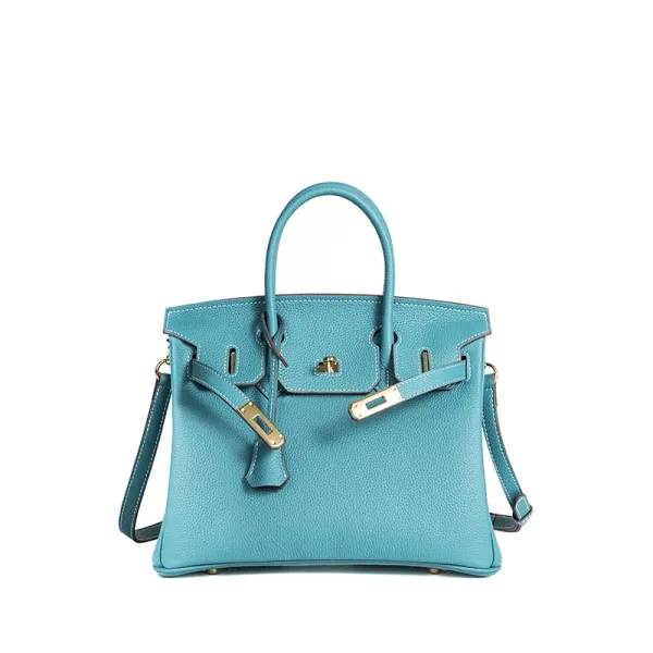 Hermès Birkin 25cm Turquoise Togo Leather Handbag - 1