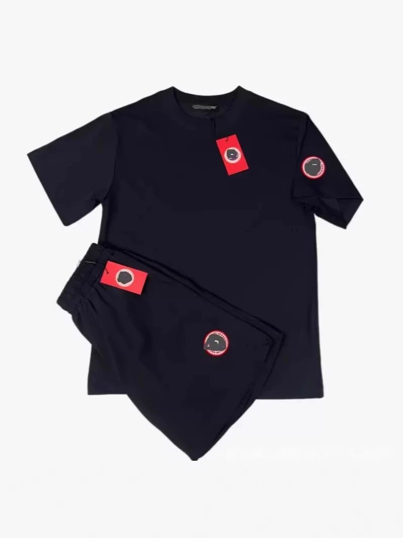 Design Logo Patch Gray T-Shirt and Sweatpants Set - 12
