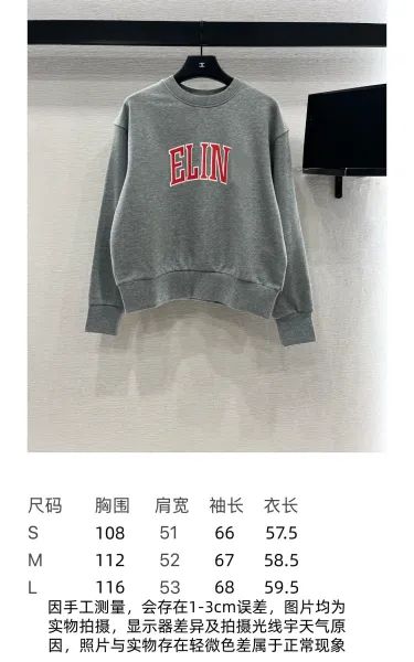 Celine Arch Logo Gray Hoodie - 2