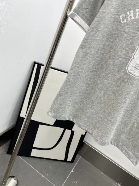 Dior Christia Dio Paris Ringer T-Shirt Gray - 14