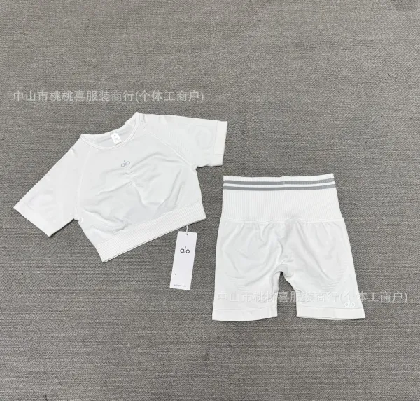 Alo Yoga Performance Crop Top and Biker Shorts Set Gray Activewear - 18