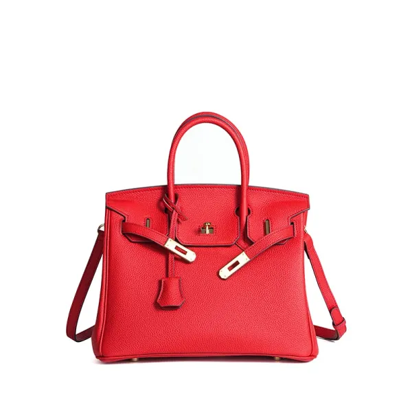 Hermès Birkin Bag Red Togo Leather Handbag - 1