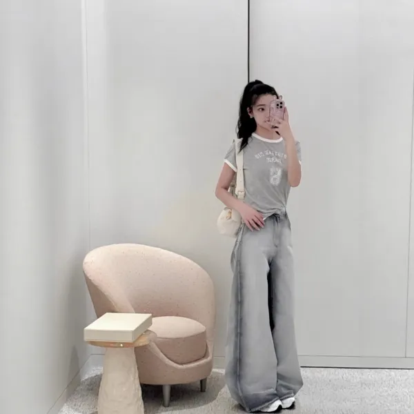 Dior Christia Dio Paris Ringer T-Shirt Gray - 7