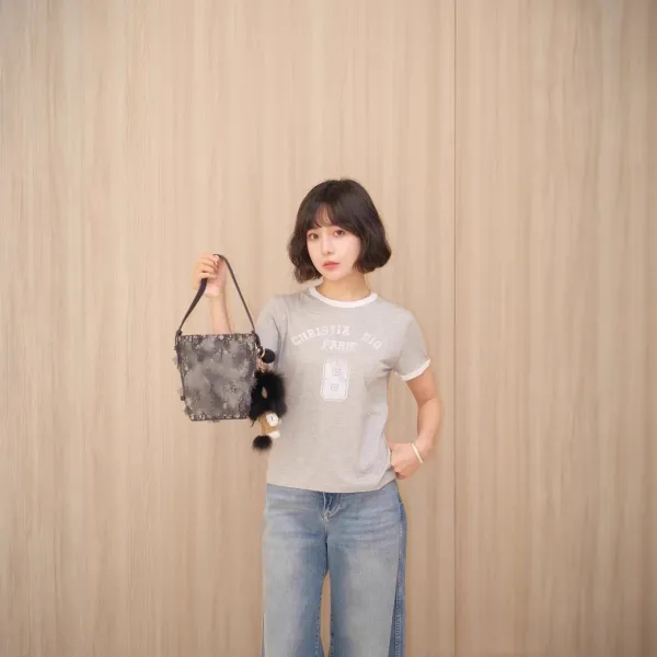 Dior Christia Dio Paris Ringer T-Shirt Gray - 3