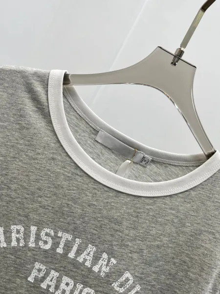 Dior Christia Dio Paris Ringer T-Shirt Gray - 11