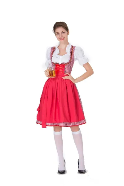 Design Traditional Bavarian Dirndl Dress Blue and White Gingham with White Blouse and Black Heels Dress - 3
