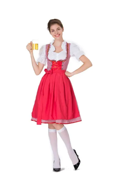 Design Traditional Bavarian Dirndl Dress Blue and White Gingham with White Blouse and Black Heels Dress - 8