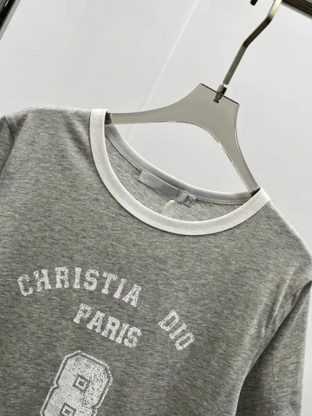 Dior Christia Dio Paris Ringer T-Shirt Gray - 10