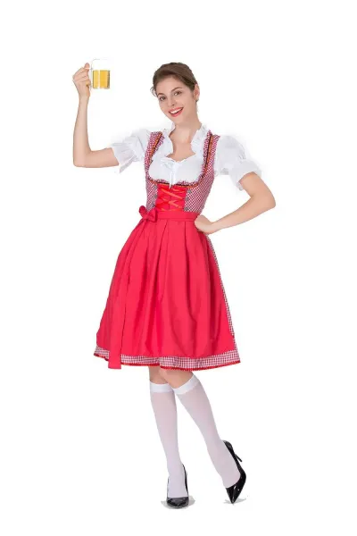 Design Traditional Bavarian Dirndl Dress Blue and White Gingham with White Blouse and Black Heels Dress - 6