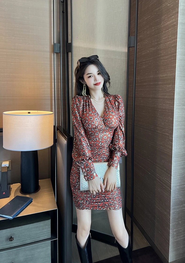 Design Leopard Print Ruched Mini Dress - 20