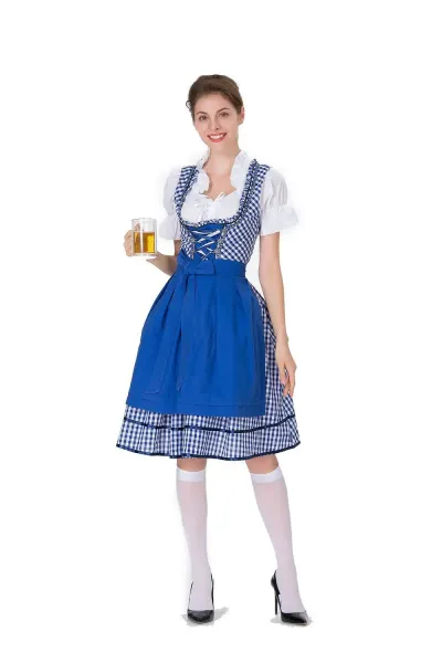 Design Traditional Bavarian Dirndl Dress Blue and White Gingham with White Blouse and Black Heels Dress - 10