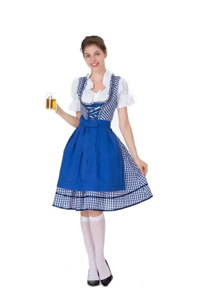 Design Traditional Bavarian Dirndl Dress Blue and White Gingham with White Blouse and Black Heels Dress - 15