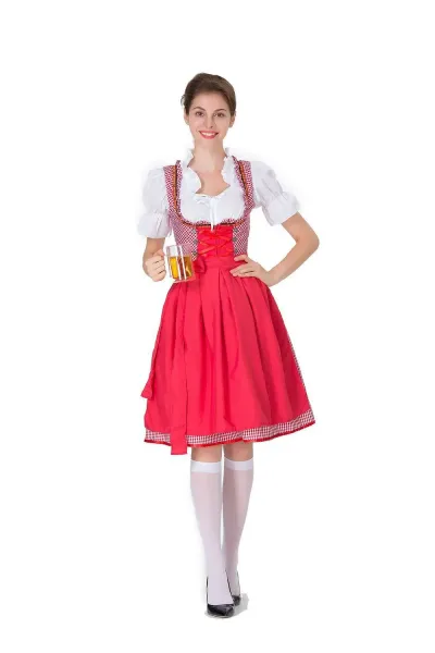 Design Traditional Bavarian Dirndl Dress Blue and White Gingham with White Blouse and Black Heels Dress - 4