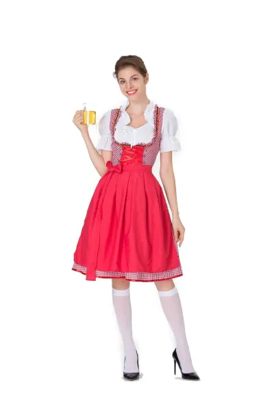 Design Traditional Bavarian Dirndl Dress Blue and White Gingham with White Blouse and Black Heels Dress - 5