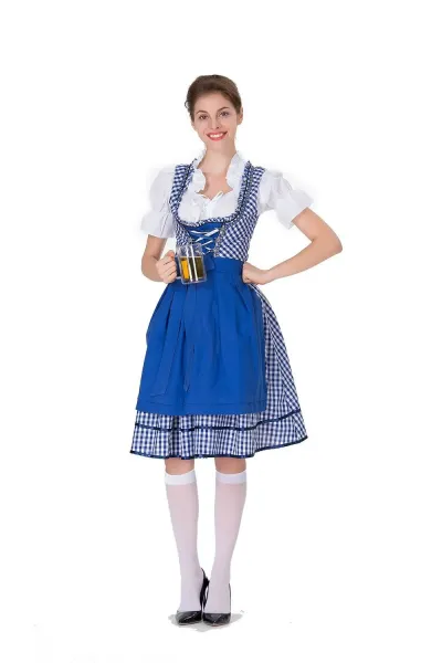 Design Traditional Bavarian Dirndl Dress Blue and White Gingham with White Blouse and Black Heels Dress - 16