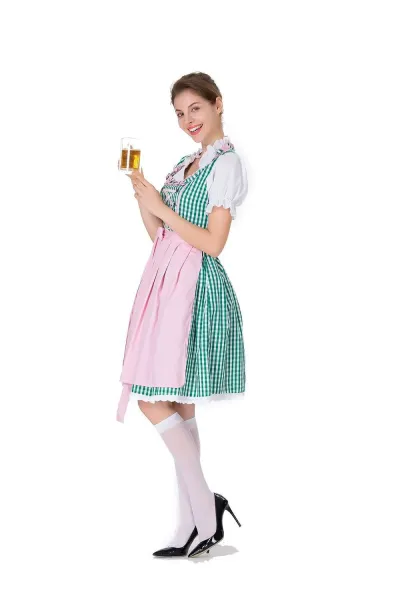 Design Traditional Bavarian Dirndl Dress Blue and White Gingham with White Blouse and Black Heels Dress - 19