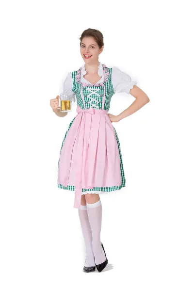 Design Traditional Bavarian Dirndl Dress Blue and White Gingham with White Blouse and Black Heels Dress - 21