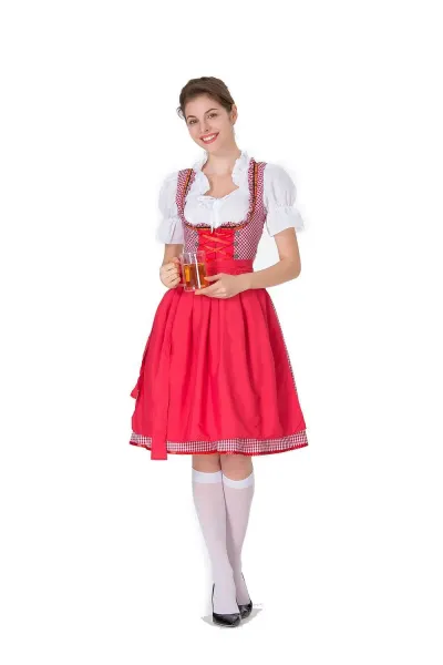 Design Traditional Bavarian Dirndl Dress Blue and White Gingham with White Blouse and Black Heels Dress - 2